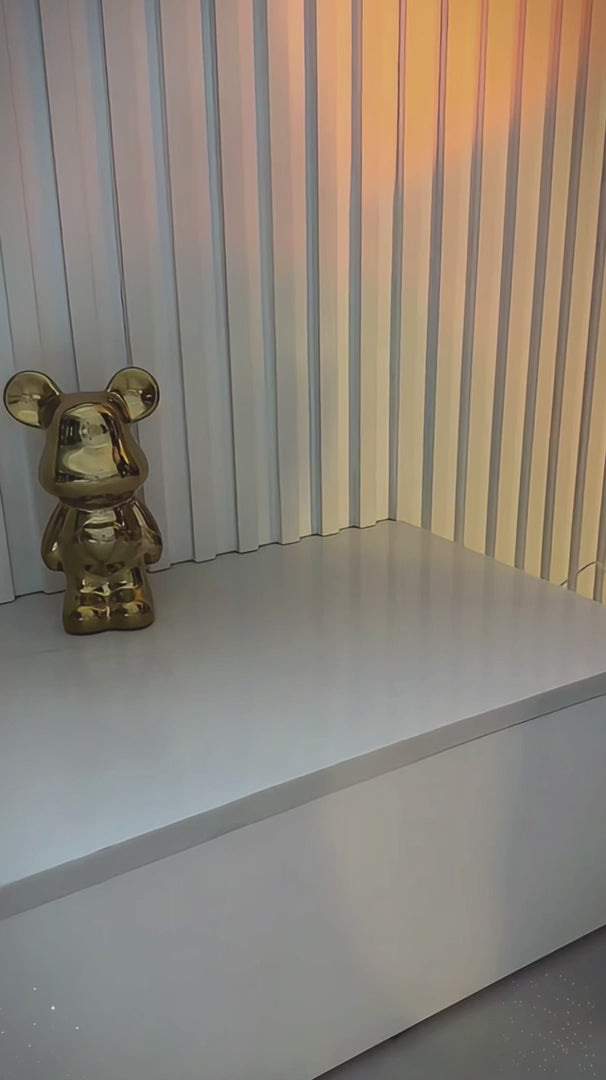 Charger la vidéo : 